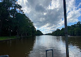 Caddo Lake State Park