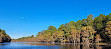 Caddo Lake State Park