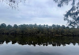 Caddo Lake State Park