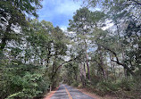 Caddo Lake State Park