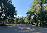 Caddo Lake State Park