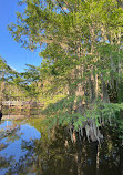 Caddo Lake State Park