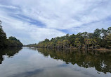 Caddo Lake State Park