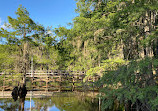 Caddo Lake State Park