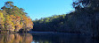 Caddo Lake State Park