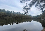 Caddo Lake State Park