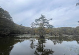 Caddo Lake State Park