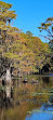 Caddo Lake State Park