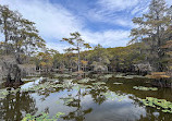 Caddo Lake State Park