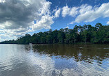 Caddo Lake State Park