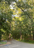 Caddo Lake State Park