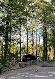 Caddo Lake State Park