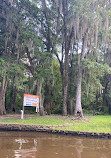 Caddo Lake State Park