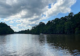 Caddo Lake State Park