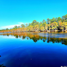 Caddo Lake State Park