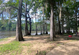 Caddo Lake State Park