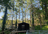 Caddo Lake State Park