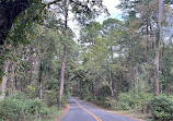 Caddo Lake State Park