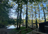 Caddo Lake State Park