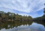 Caddo Lake State Park