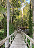 Caddo Lake State Park