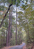 Caddo Lake State Park