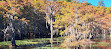 Caddo Lake State Park