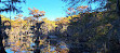 Caddo Lake State Park