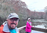 Caddo Lake State Park