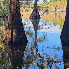 Caddo Lake State Park