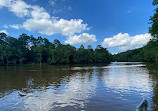 Caddo Lake State Park