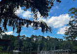 Caddo Lake State Park