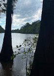 Caddo Lake State Park