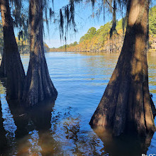 Caddo Lake State Park