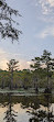 Caddo Lake State Park