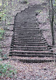 Caddo Lake State Park