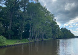 Caddo Lake State Park