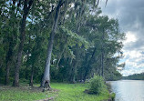 Caddo Lake State Park