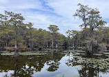 Caddo Lake State Park