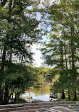 Caddo Lake State Park