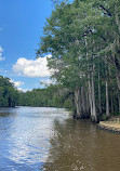 Caddo Lake State Park