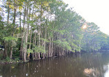 Caddo Lake State Park