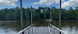 Caddo Lake State Park