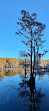 Caddo Lake State Park