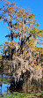 Caddo Lake State Park