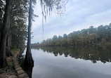 Caddo Lake State Park