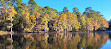 Caddo Lake State Park