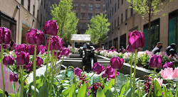 The Channel Gardens