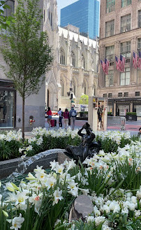 The Channel Gardens