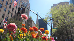 The Channel Gardens